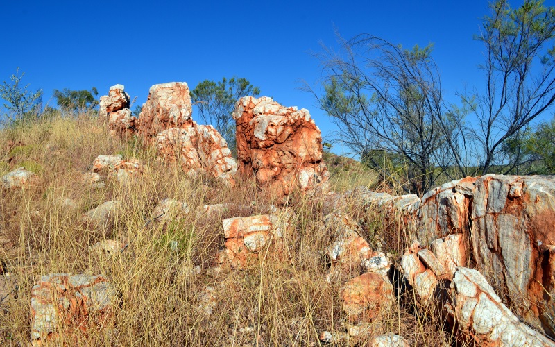 Community - Shire of Halls Creek
